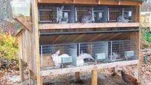 Kako napraviti kavez za zečeve to učiniti sami